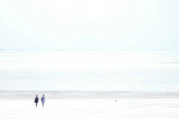 高清摄影 白天，两个人走在覆盖着积雪的田野上。