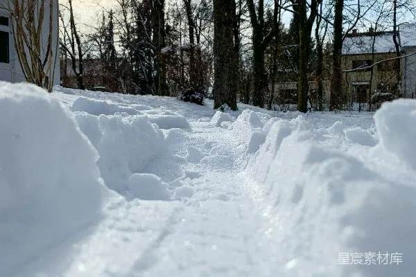 高清摄影 白天的雪覆盖的田野，周围是光秃的树木。