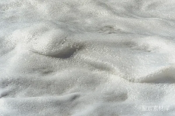 高清摄影 一只鸟站在雪地里，阳光明媚。