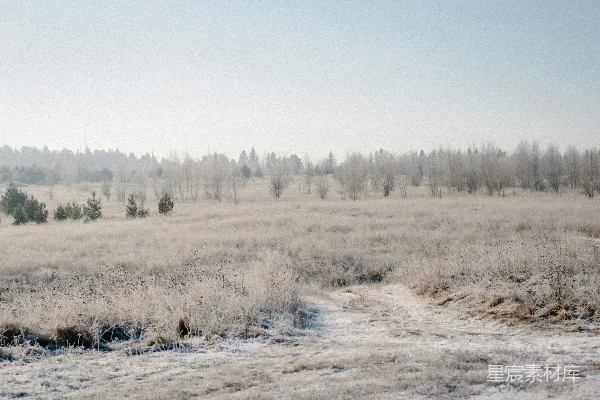 高清摄影 白天的棕色草地