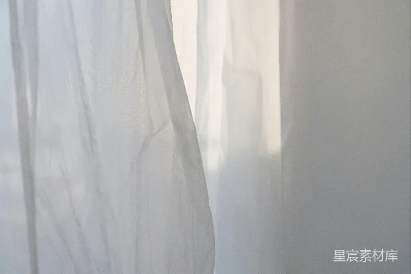 高清摄影 一幅白色的窗帘，上面坐着一只猫。
