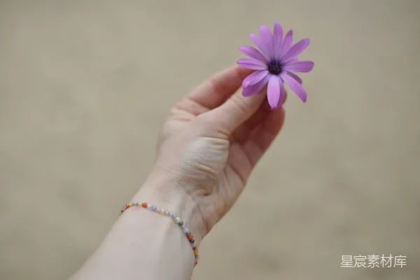 一只手拿着一枝精致的紫色花朵，旁边挂着手链。