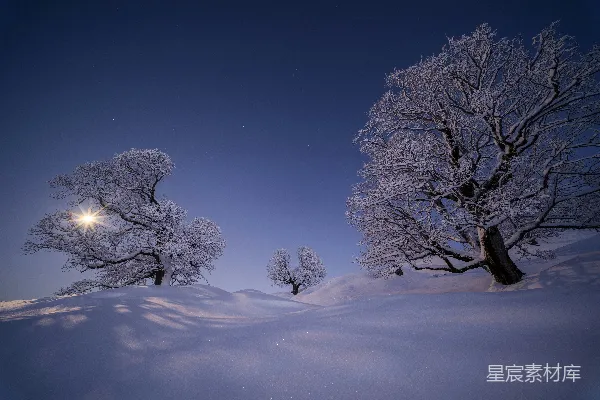 一片雪景中树木环绕，一轮满月。