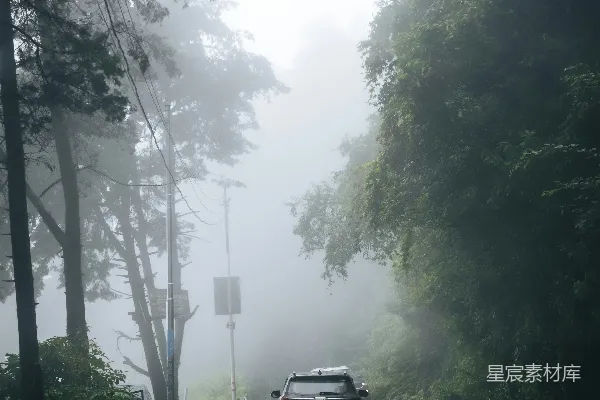 汽车在雾中穿过森林的道路