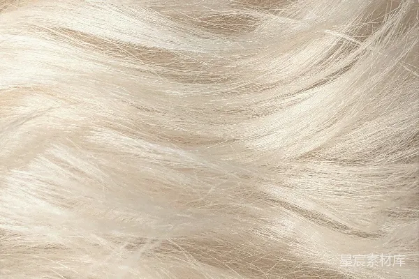 高清摄影 黑布上的白发