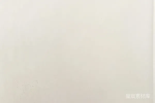 高清摄影 一张黑白照片，照片中一个人拿着一部手机。