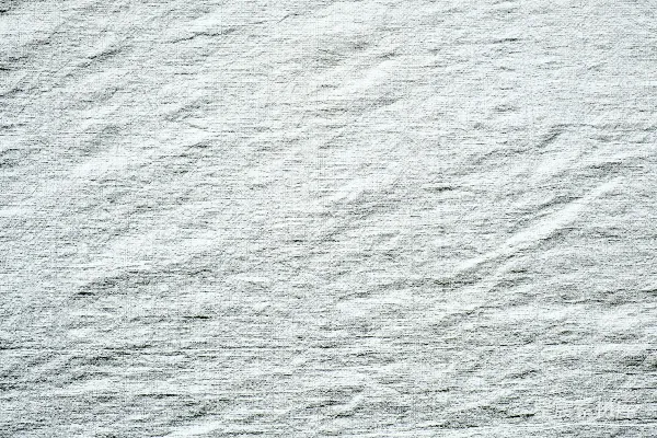 高清摄影 覆盖着雪的地面上有一只鸟站在上面