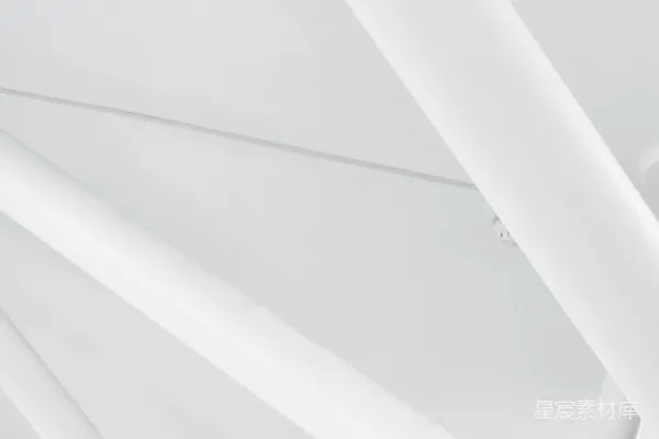 高清摄影 一张黑白照片，显示的是天花板。