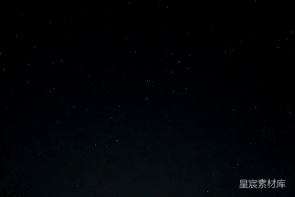 高清摄影 一个星空下，前景是星星和树木。