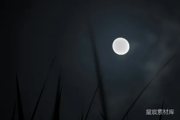 高清摄影 夜晚的月亮