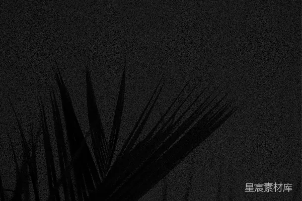 高清摄影 黑白抽象画