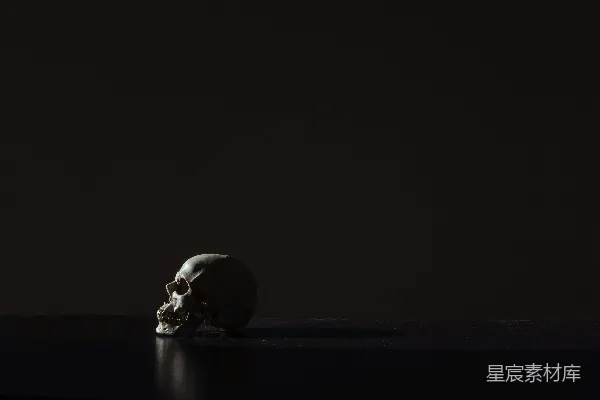 高清摄影 黑色背景上的人类头骨