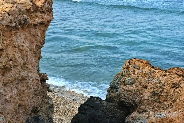 海边岩石上的一只鸟儿