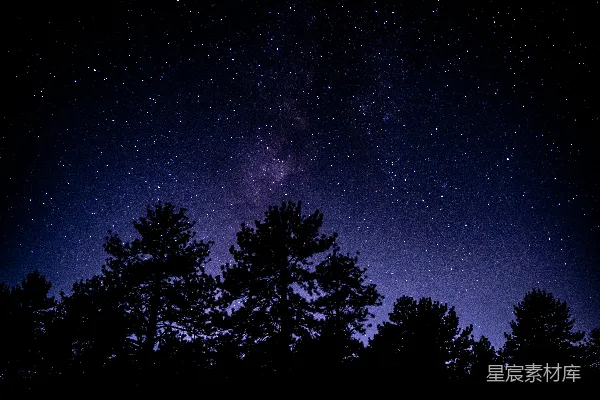 夜空满是星辰和树木