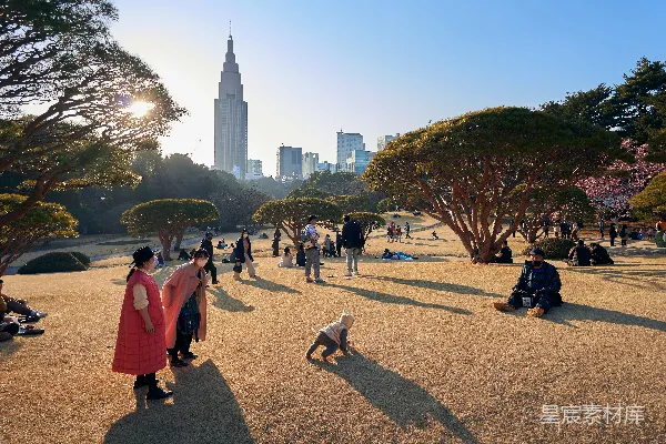 公园里一群人坐着站着围成一圈