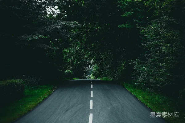 高清摄影 一条森林中的空旷小路