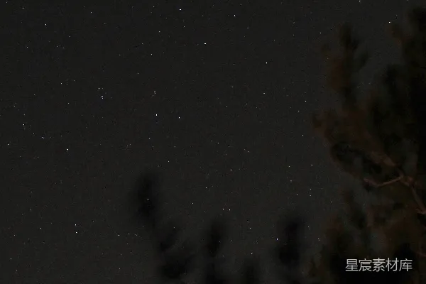 高清摄影 一个夜晚的天空，前景中有星星和树木。