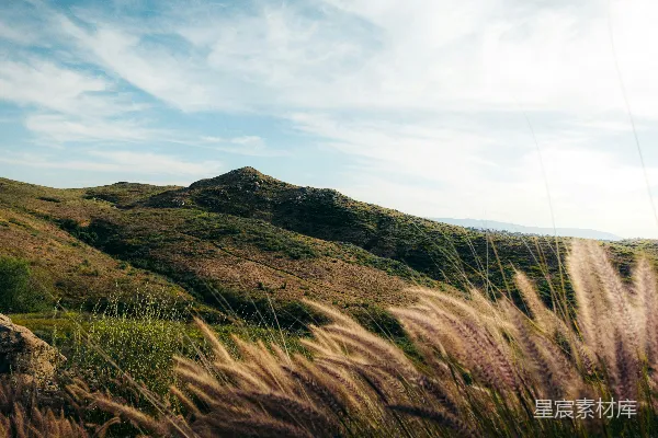 背景有一座山坡的草地场