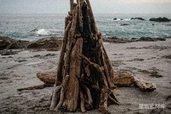 一堆漂浮木堆在沙滩上