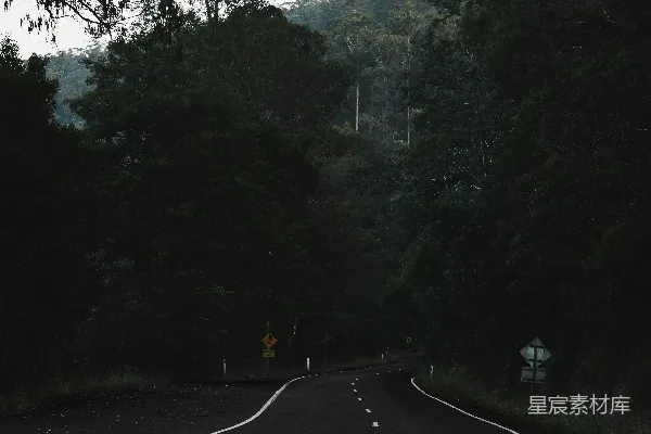 高清摄影 一条路上的曲线，背景中是树木。