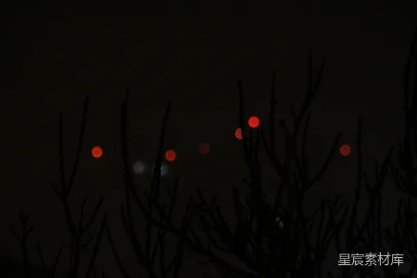 高清摄影 一张夜晚模糊的树木照片