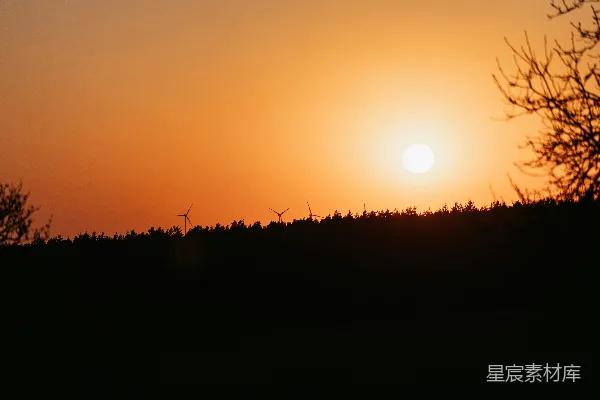 高清摄影 夕阳下草的剪影