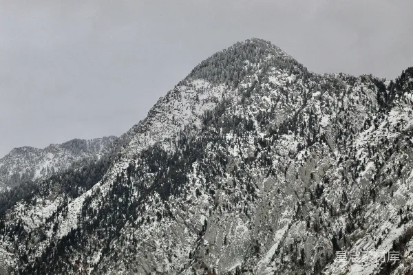 白天雪覆盖的山 under 云密布的天空