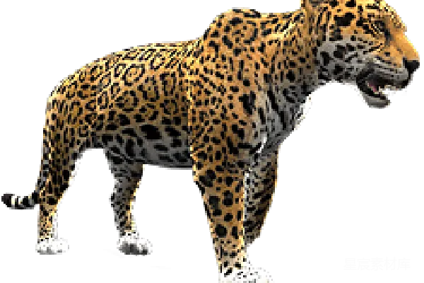 元素素材 jaguar