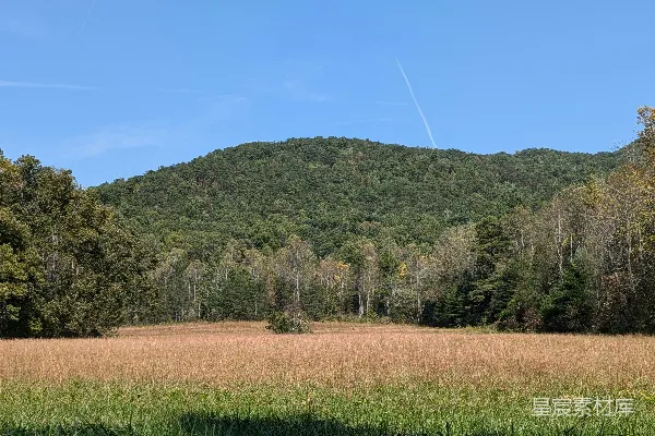 背景中有树木和一座小山的田地