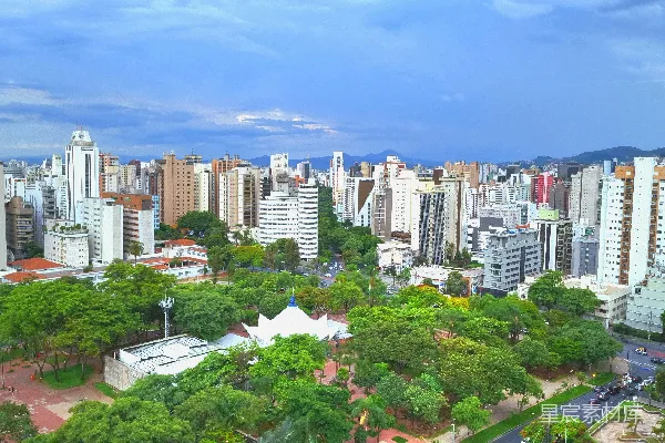 一座高楼林立的城市景观