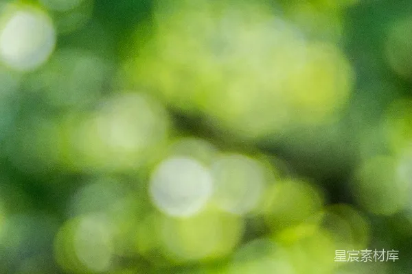 高清摄影 绿色和黄色光斑背景