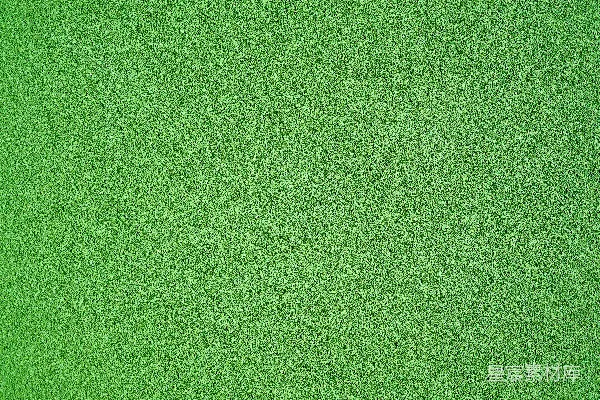 高清摄影 绿色背景
