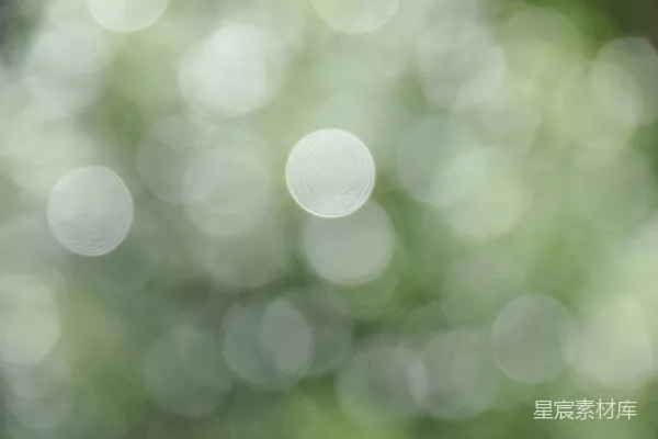 高清摄影 一张模糊的树叶茂盛的树的照片