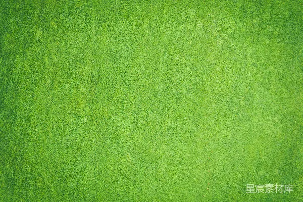 高清摄影 特写图像中的绿色纺织品
