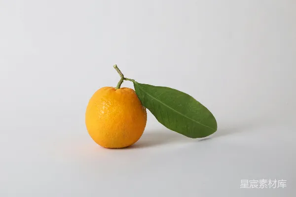 高清摄影 一个橙子和一片绿色的叶子在白色背景上。