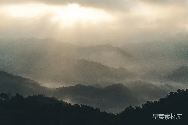 白日绿树间白云