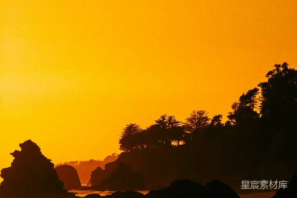高清摄影 树木在水边的剪影在夕阳下