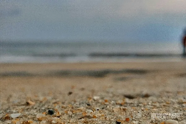 有岩石和水的海滩