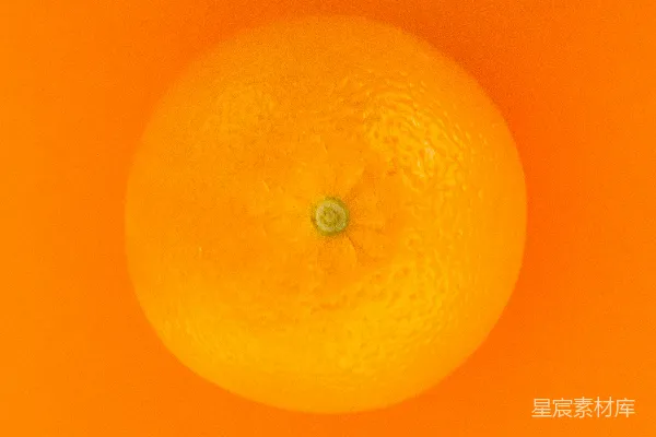 高清摄影 橙色的水果配橙色的背景