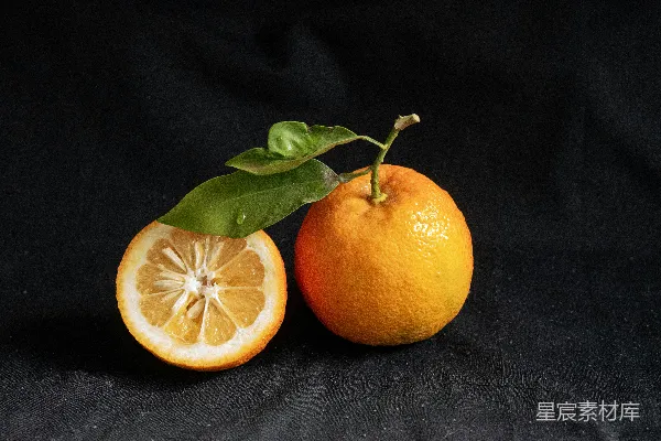 高清摄影 两个橙子并排放着。