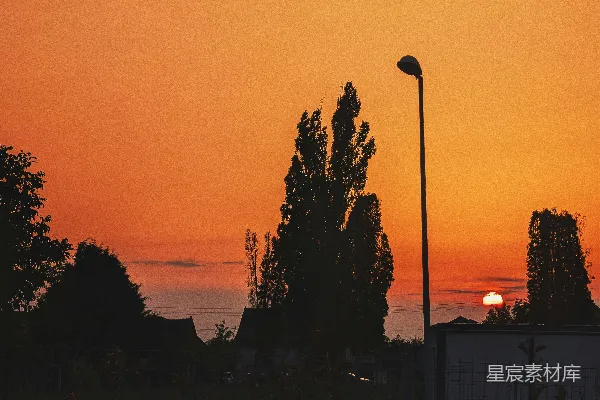 高清摄影 夕阳正挂在街灯后面
