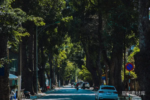 一辆车停在路边。