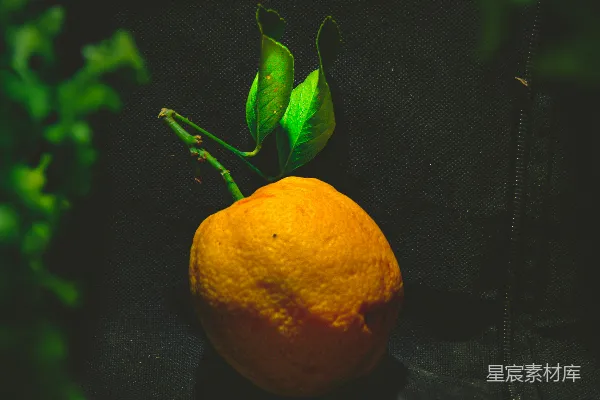 高清摄影 黑布上的橙色水果