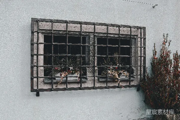 窗户上种着一排植物