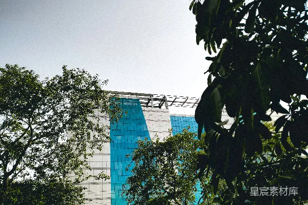 前面有树的建筑