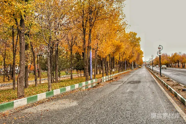 高清摄影 一条两旁种满树木的街道，紧邻一条公路。