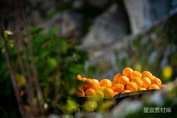 高清摄影 一桌上的橙子堆