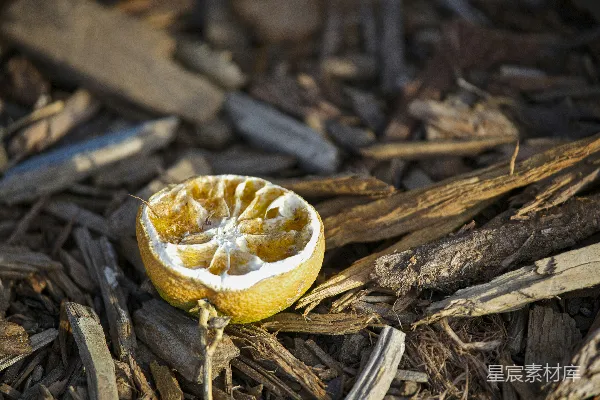 高清摄影 一个半吃掉的橙子放在一堆木头上。