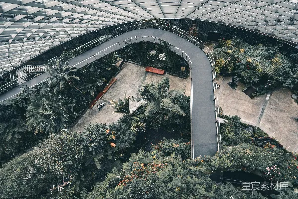 绿树丛生的空中俯瞰图