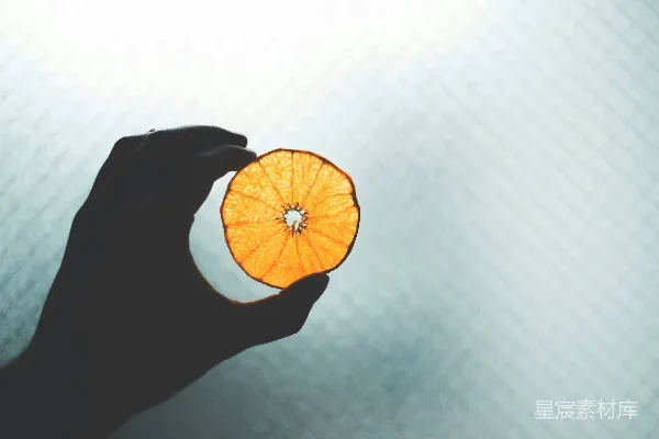 高清摄影 圆形橙色插图